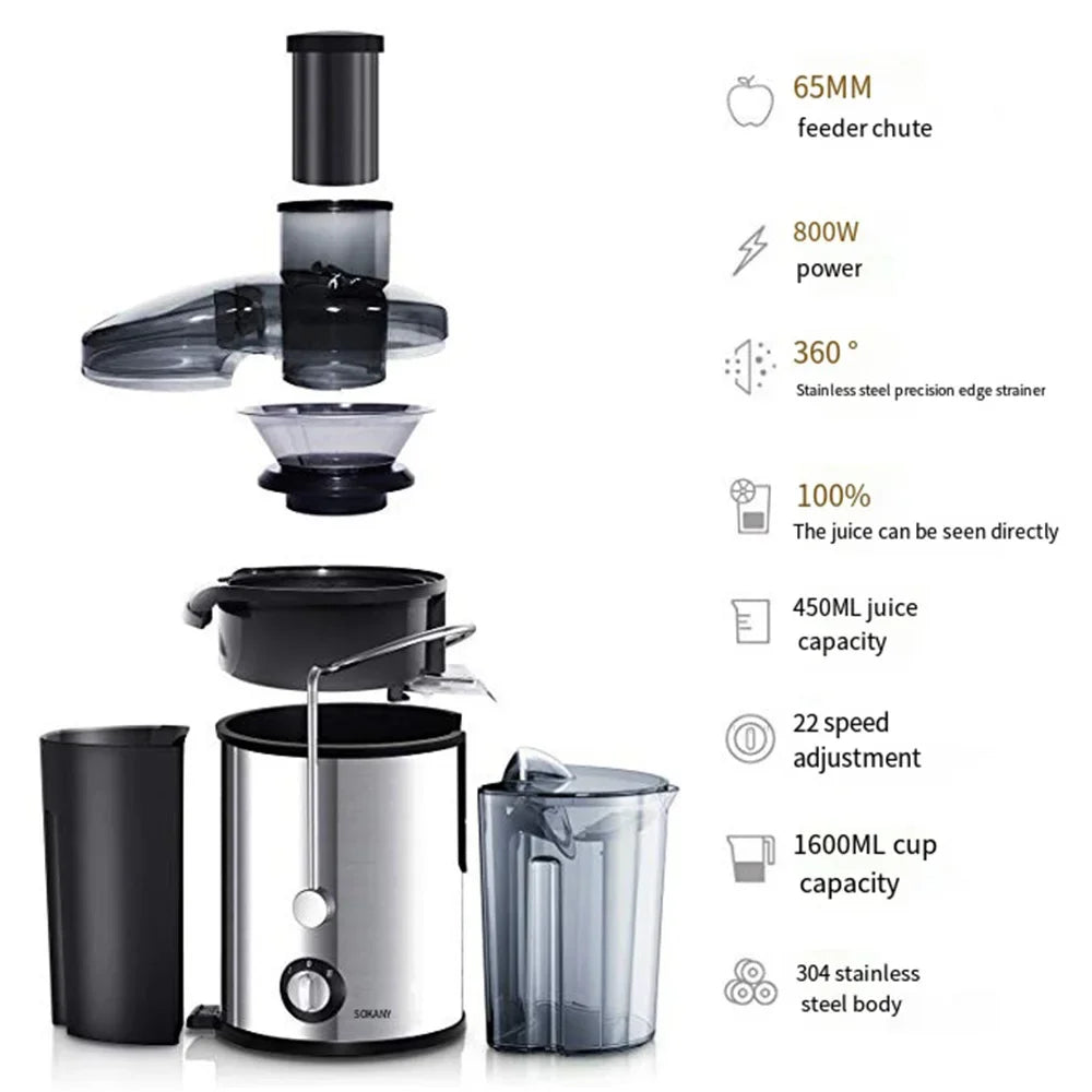 800W Electric Juicer, Fruit & Vegetable Smoothie Breaker with 2 Speeds, Easy To Clean