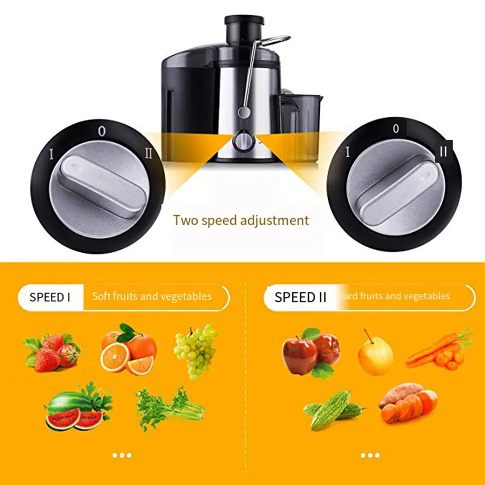 800W Electric Juicer, Fruit & Vegetable Smoothie Breaker with 2 Speeds, Easy To Clean
