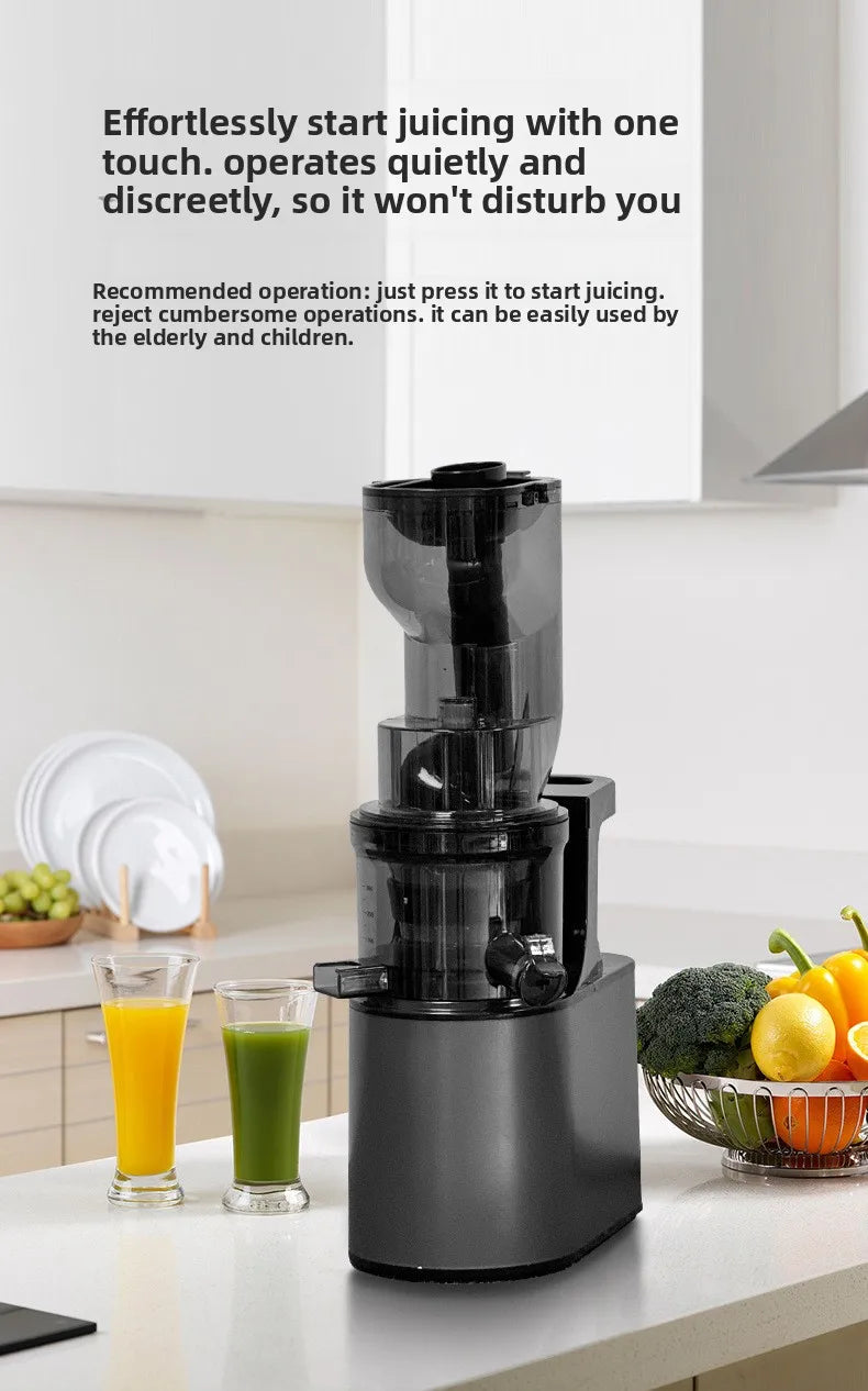 2L Stainless Steel Slow Juicer Commercial Automatic Juice Extractor with Pulp Separation Large Mouth