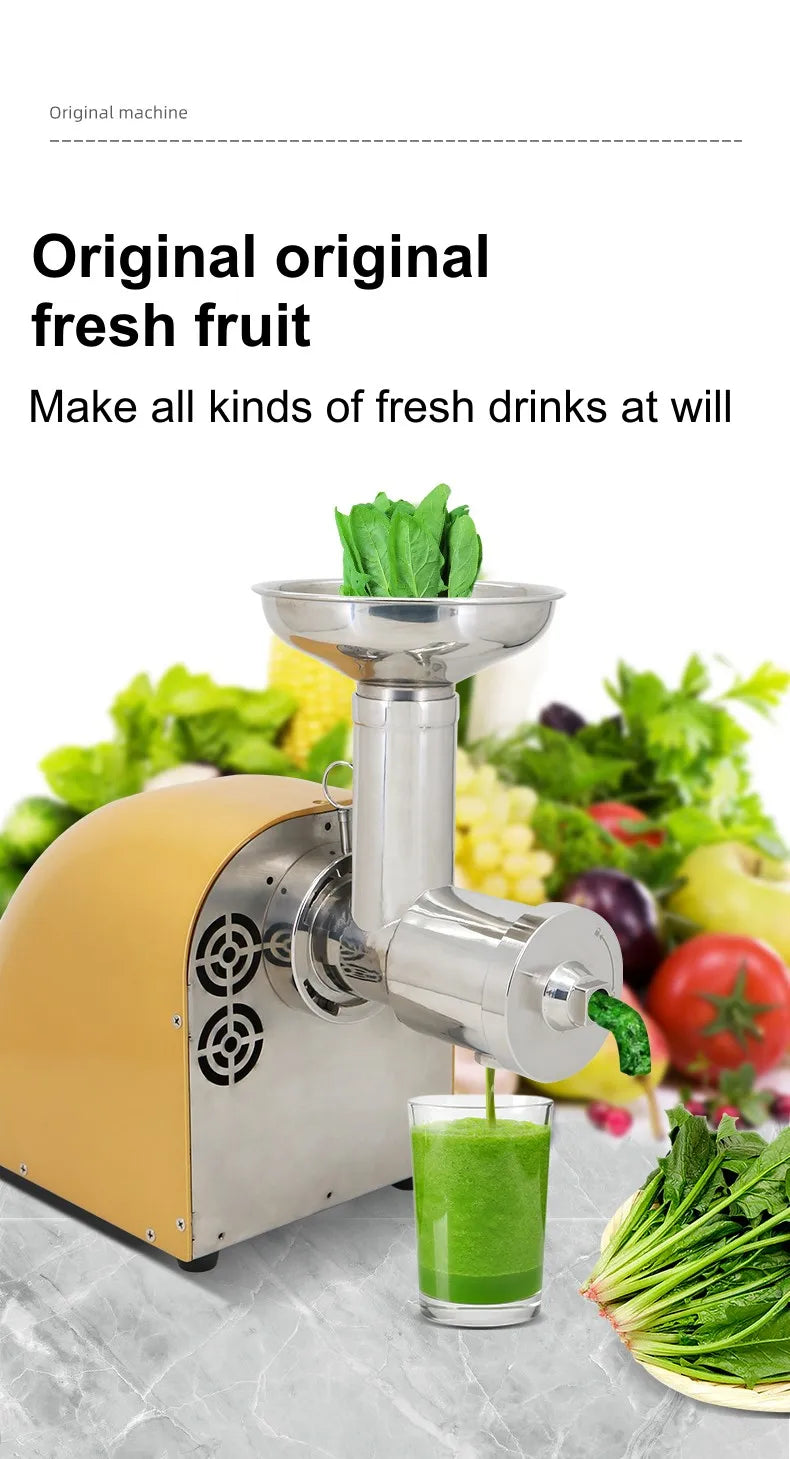 304 Stainless Stee Slow Masticating Auger Juicer Fruit and Vegetable Low Speed Juice Extractor Compact Cold Press Juicer Machine