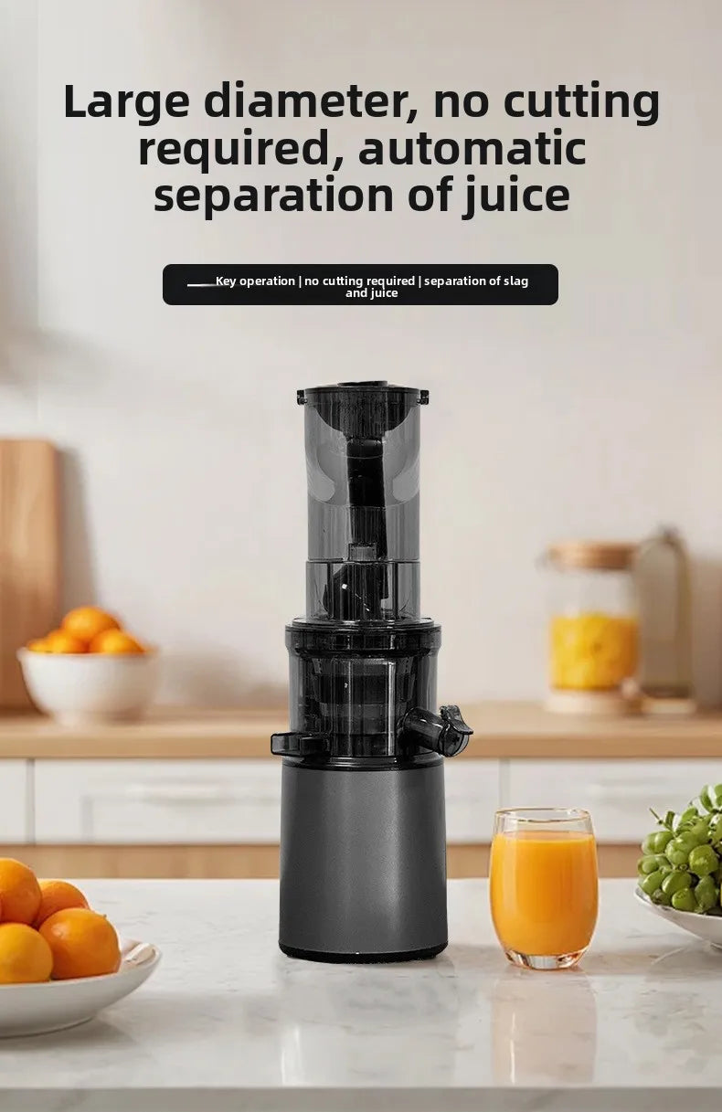 2L Stainless Steel Slow Juicer Commercial Automatic Juice Extractor with Pulp Separation Large Mouth