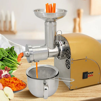 304 Stainless Stee Slow Masticating Auger Juicer Fruit and Vegetable Low Speed Juice Extractor Compact Cold Press Juicer Machine