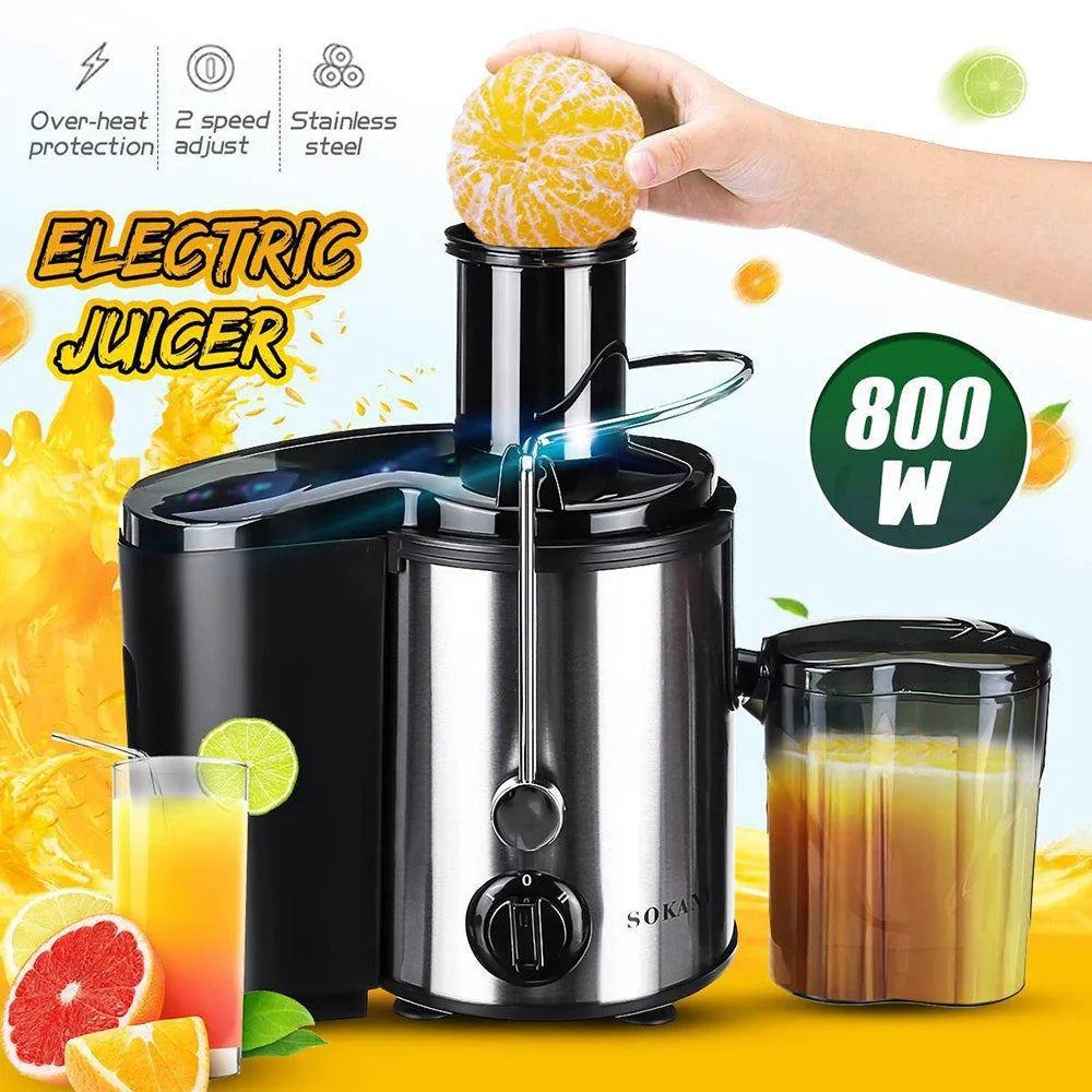 800W Electric Juicer, Fruit & Vegetable Smoothie Breaker with 2 Speeds, Easy To Clean