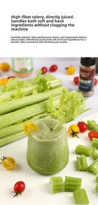 2L Stainless Steel Slow Juicer Commercial Automatic Juice Extractor with Pulp Separation Large Mouth