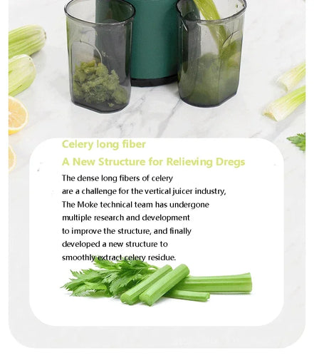 Juicer large diameter new home juicer juice residue separation portable fruit and vegetable multifunctional new