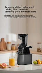 2L Stainless Steel Slow Juicer Commercial Automatic Juice Extractor with Pulp Separation Large Mouth