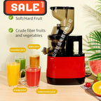 2L Stainless Steel Slow Juicer Commercial Automatic Juice Extractor with Pulp Separation Large Mouth