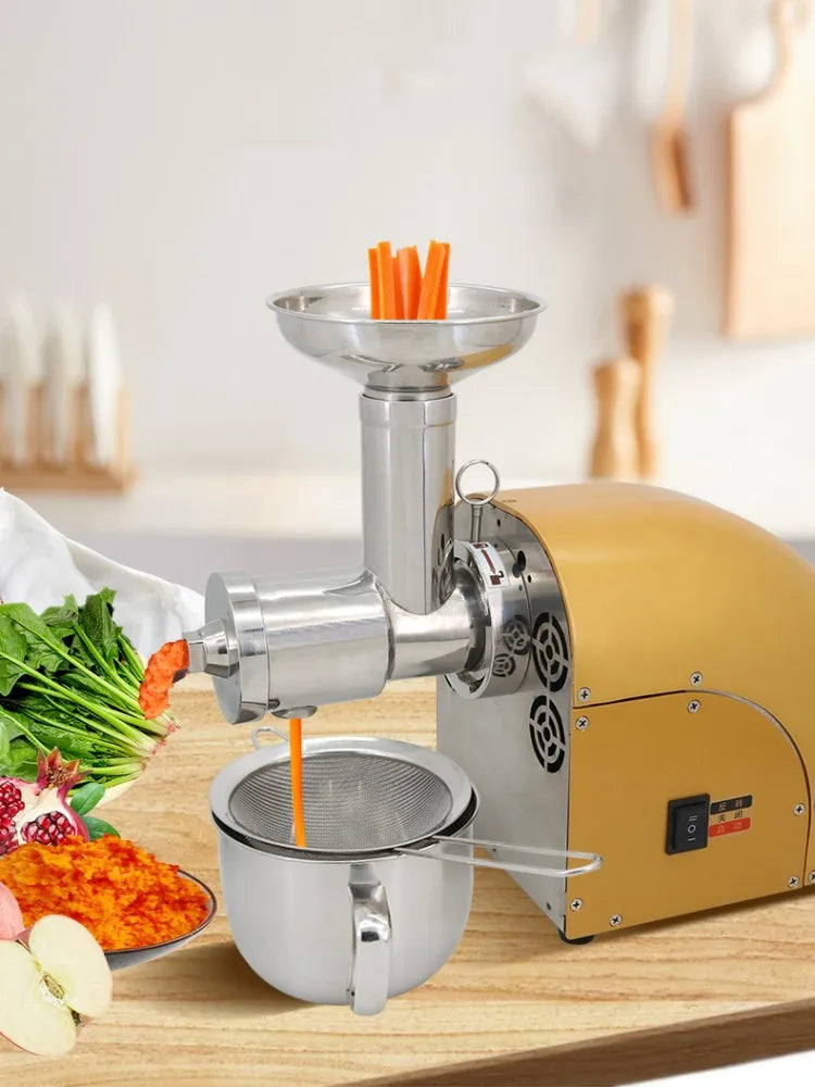 304 Stainless Stee Slow Masticating Auger Juicer Fruit and Vegetable Low Speed Juice Extractor Compact Cold Press Juicer Machine