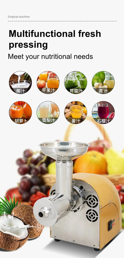 304 Stainless Stee Slow Masticating Auger Juicer Fruit and Vegetable Low Speed Juice Extractor Compact Cold Press Juicer Machine