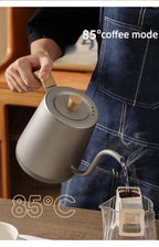 Gooseneck Electric Kettle 800ml Hand Brew Coffee Pot Smart Teapot Temperature Control Pot 1000W Rapid Heating Kettle 110V/220V