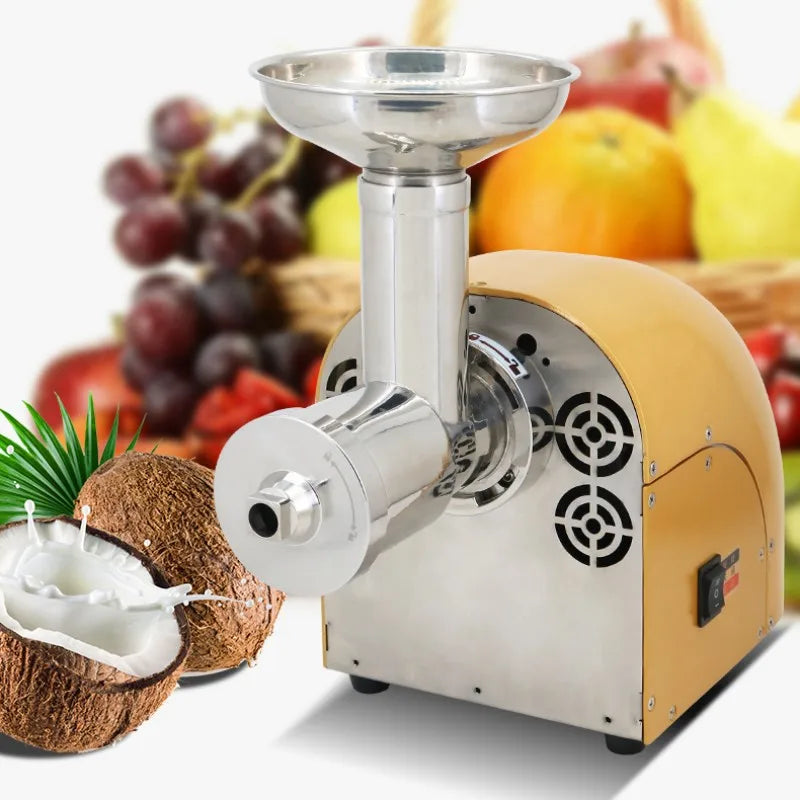 304 Stainless Stee Slow Masticating Auger Juicer Fruit and Vegetable Low Speed Juice Extractor Compact Cold Press Juicer Machine