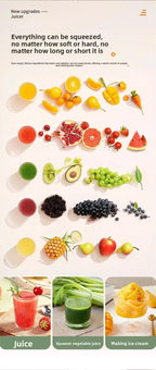 2L Stainless Steel Slow Juicer Commercial Automatic Juice Extractor with Pulp Separation Large Mouth