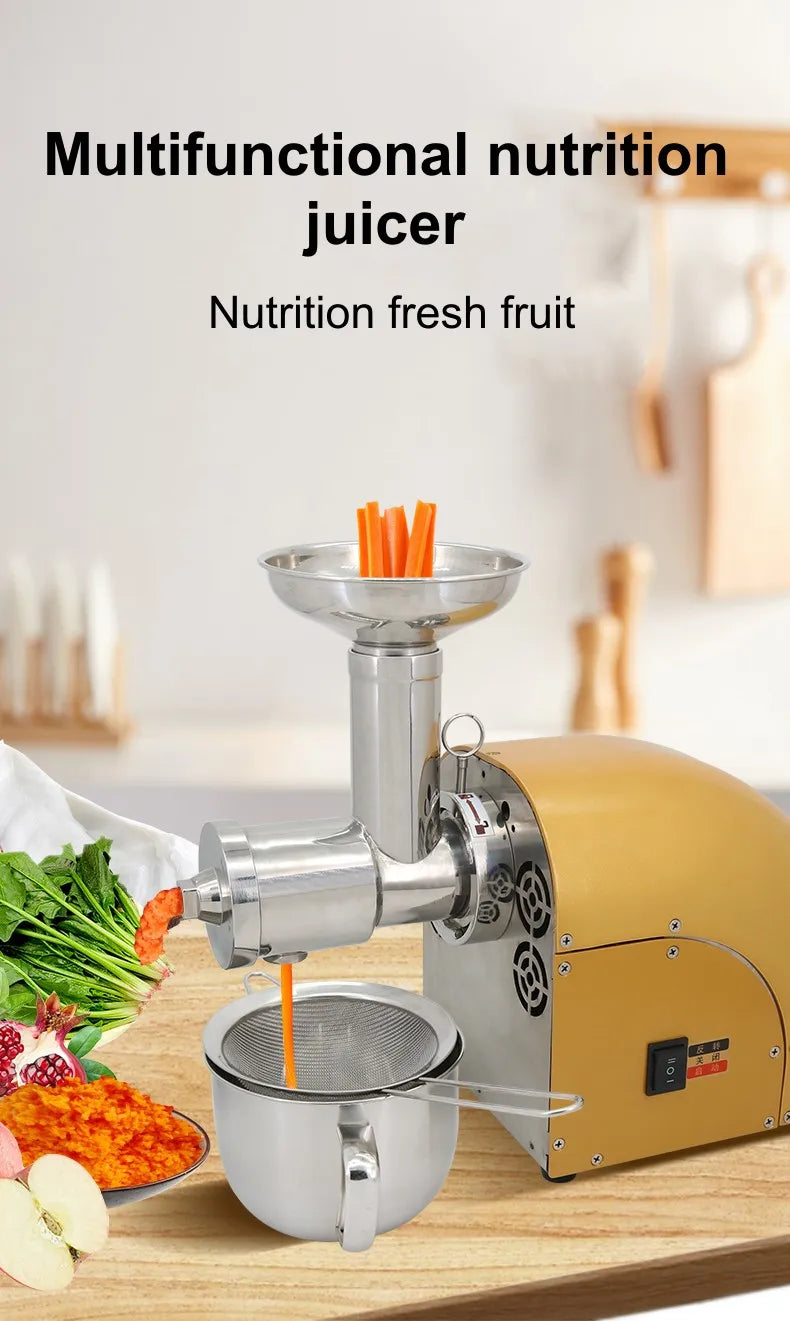 304 Stainless Stee Slow Masticating Auger Juicer Fruit and Vegetable Low Speed Juice Extractor Compact Cold Press Juicer Machine