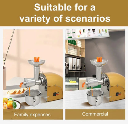 304 Stainless Stee Slow Masticating Auger Juicer Fruit and Vegetable Low Speed Juice Extractor Compact Cold Press Juicer Machine