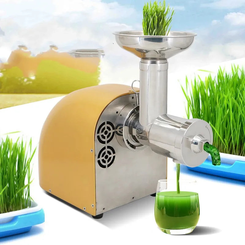 304 Stainless Stee Slow Masticating Auger Juicer Fruit and Vegetable Low Speed Juice Extractor Compact Cold Press Juicer Machine