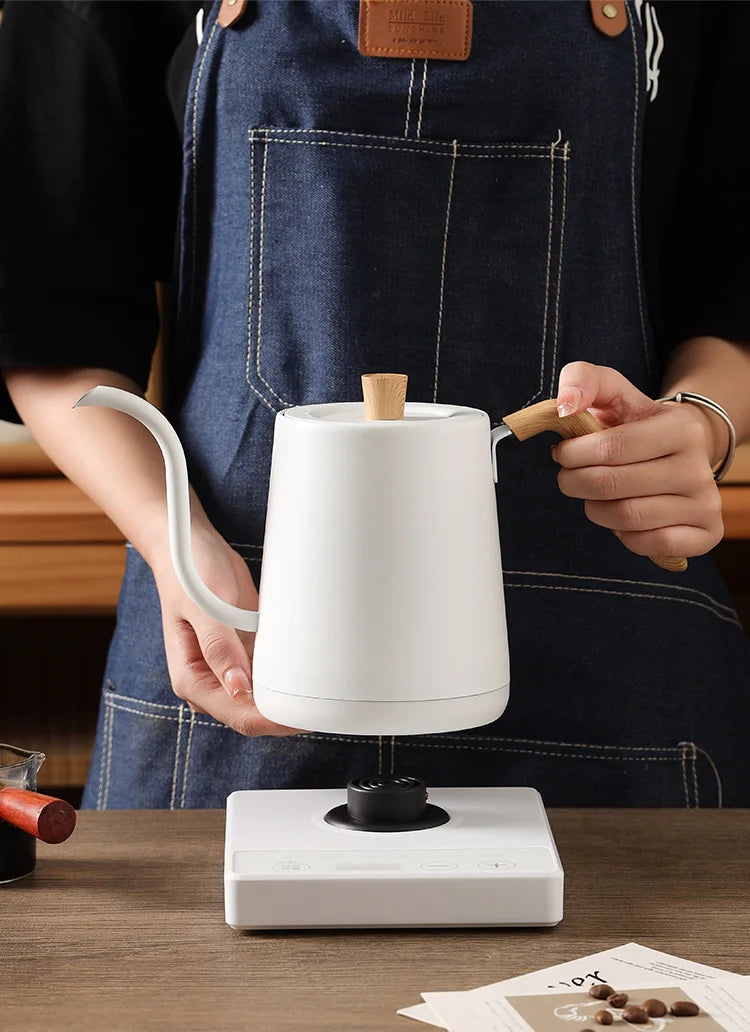 Gooseneck Electric Kettle 800ml Hand Brew Coffee Pot Smart Teapot Temperature Control Pot 1000W Rapid Heating Kettle 110V/220V