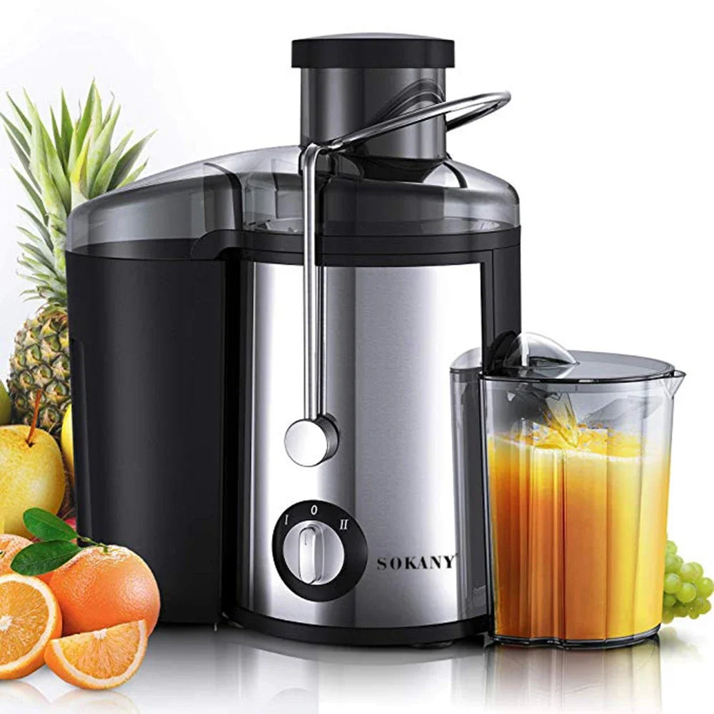 800W Electric Juicer, Fruit & Vegetable Smoothie Breaker with 2 Speeds, Easy To Clean