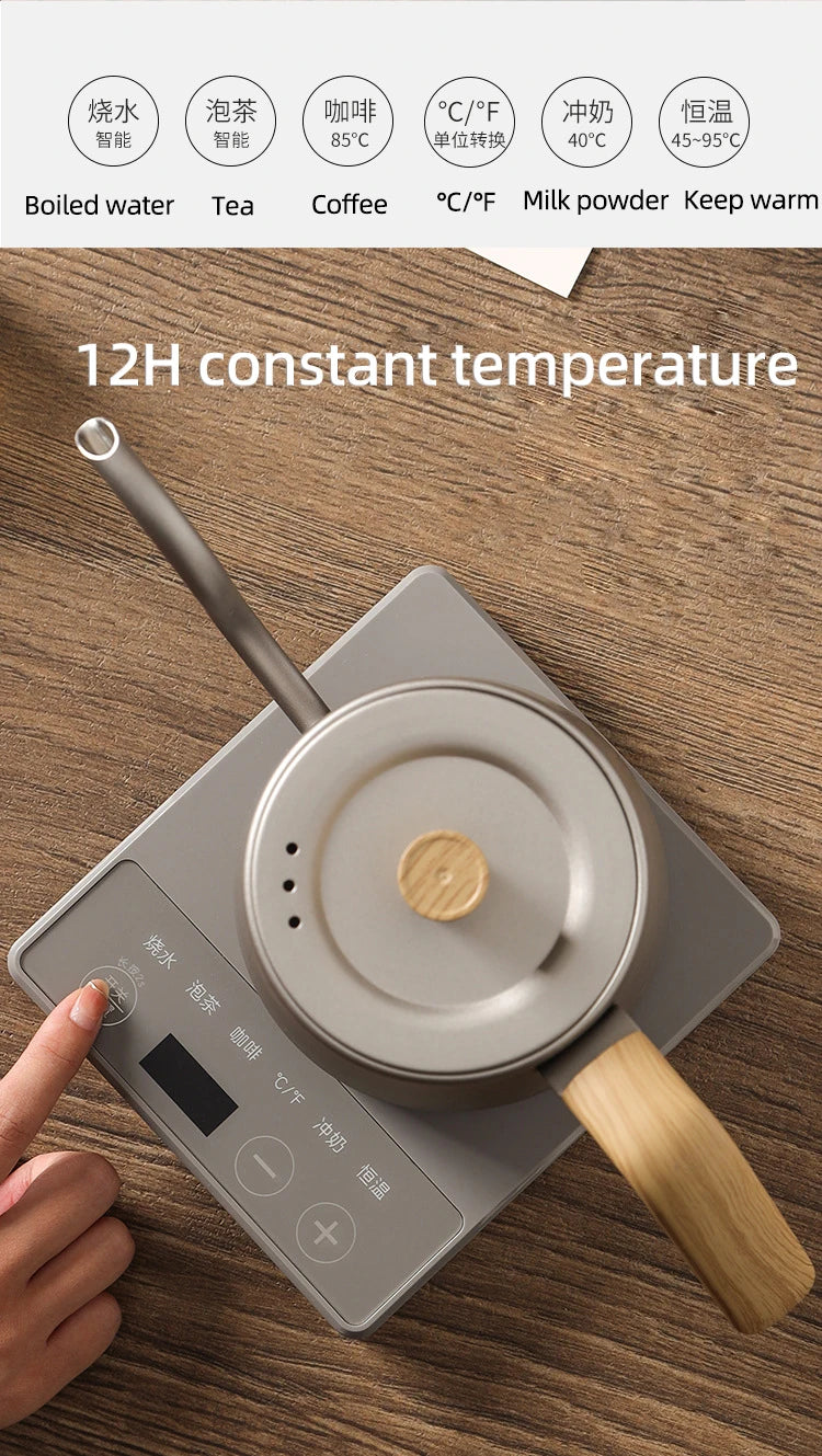 Gooseneck Electric Kettle 800ml Hand Brew Coffee Pot Smart Teapot Temperature Control Pot 1000W Rapid Heating Kettle 110V/220V