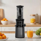 2L Stainless Steel Slow Juicer Commercial Automatic Juice Extractor with Pulp Separation Large Mouth