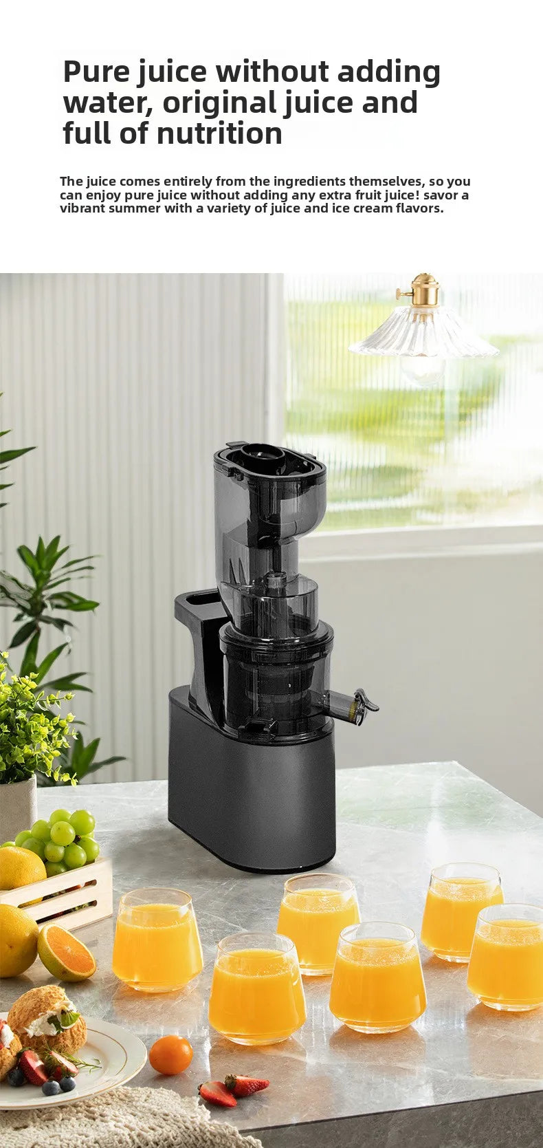 2L Stainless Steel Slow Juicer Commercial Automatic Juice Extractor with Pulp Separation Large Mouth