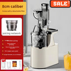 2L Stainless Steel Slow Juicer Commercial Automatic Juice Extractor with Pulp Separation Large Mouth